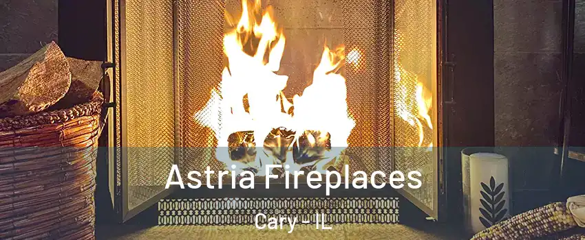  Astria Fireplaces Cary - IL