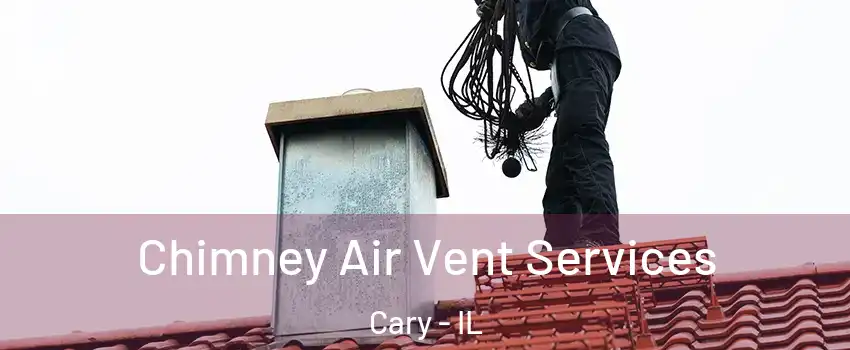  Chimney Air Vent Services Cary - IL