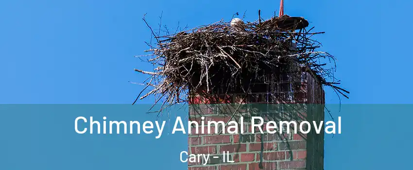  Chimney Animal Removal Cary - IL