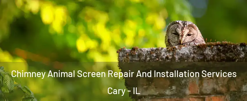  Chimney Animal Screen Repair And Installation Services Cary - IL
