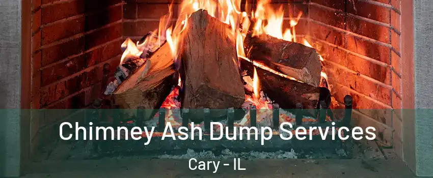  Chimney Ash Dump Services Cary - IL