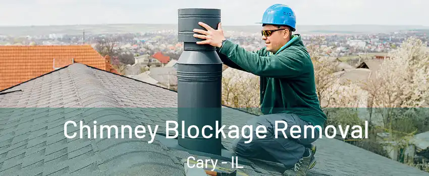  Chimney Blockage Removal Cary - IL