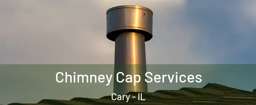  Chimney Cap Services Cary - IL