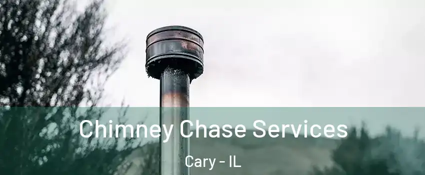  Chimney Chase Services Cary - IL