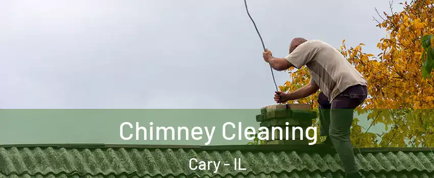  Chimney Cleaning Cary - IL