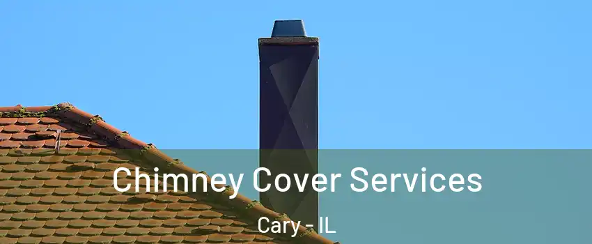  Chimney Cover Services Cary - IL