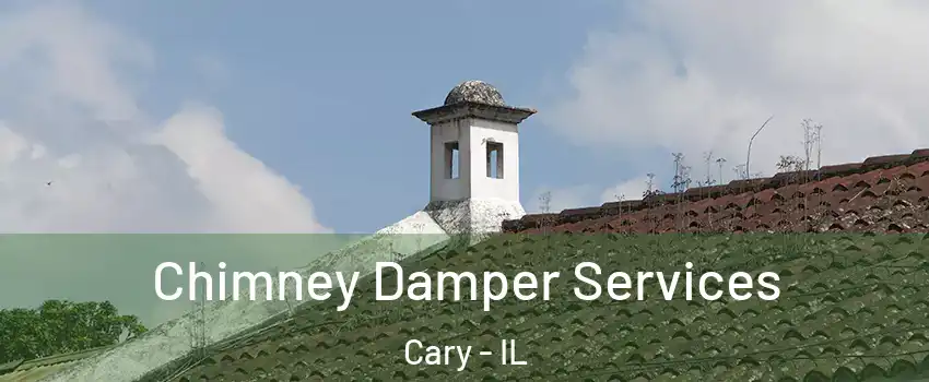  Chimney Damper Services Cary - IL