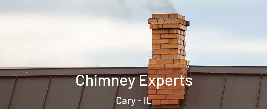  Chimney Experts Cary - IL