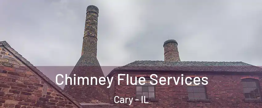  Chimney Flue Services Cary - IL