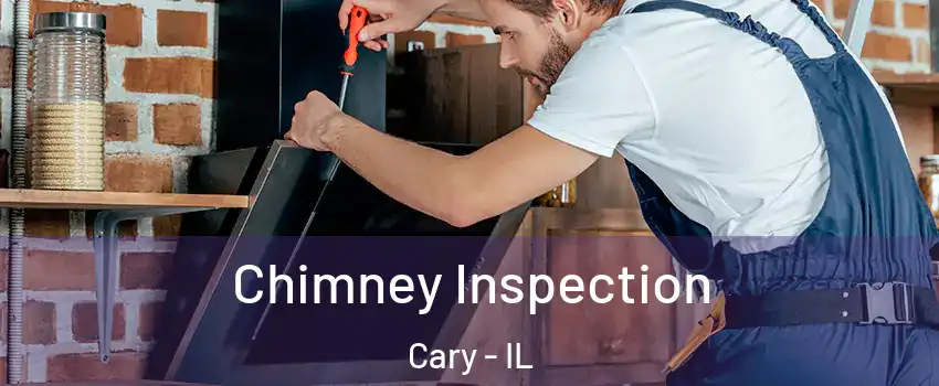  Chimney Inspection Cary - IL