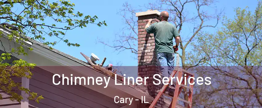  Chimney Liner Services Cary - IL
