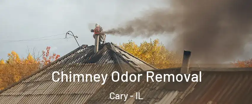  Chimney Odor Removal Cary - IL