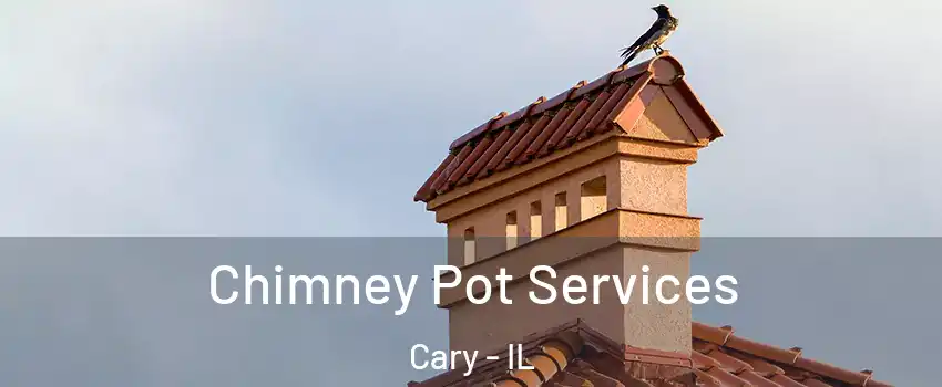  Chimney Pot Services Cary - IL