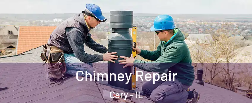  Chimney Repair Cary - IL