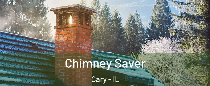  Chimney Saver Cary - IL