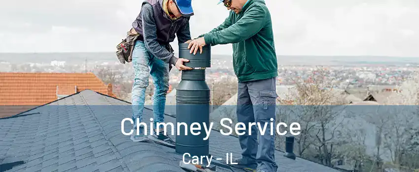  Chimney Service Cary - IL