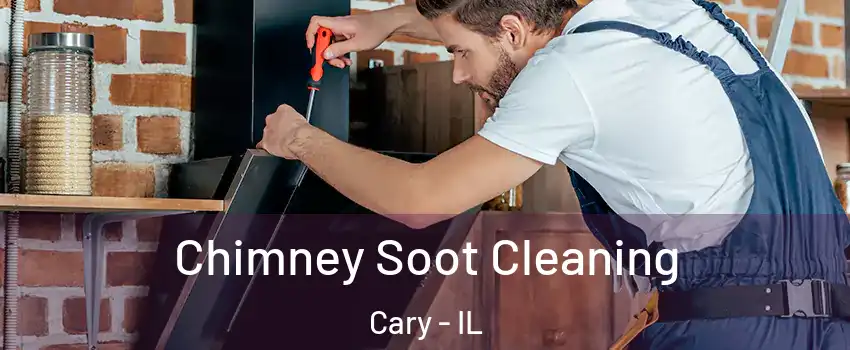  Chimney Soot Cleaning Cary - IL