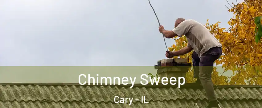 Chimney Sweep Cary - IL
