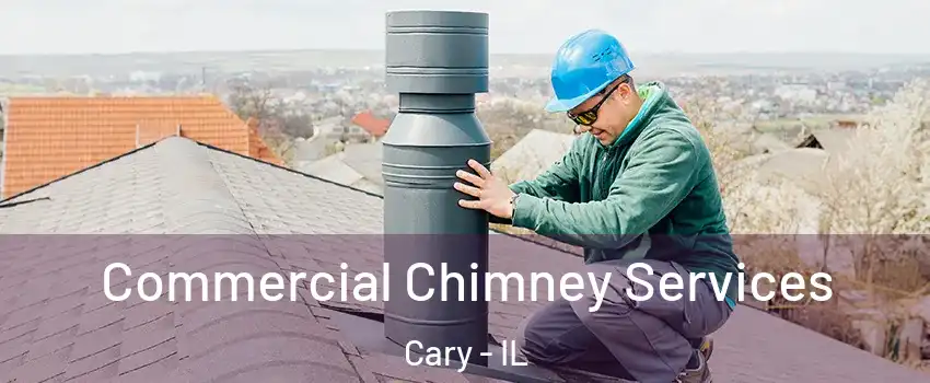  Commercial Chimney Services Cary - IL