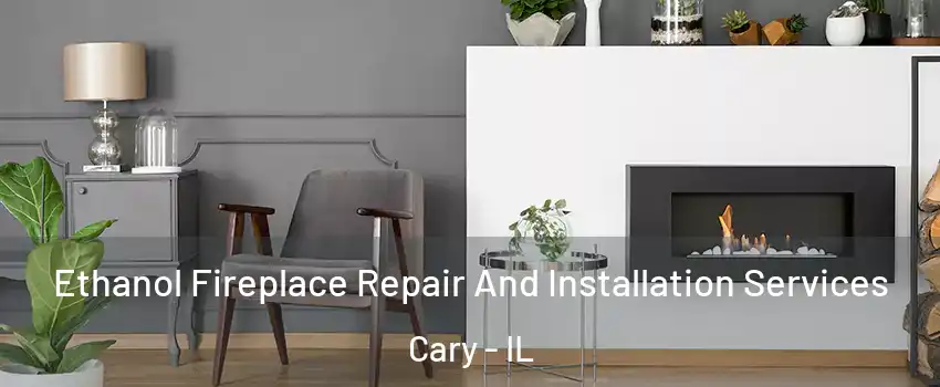  Ethanol Fireplace Repair And Installation Services Cary - IL