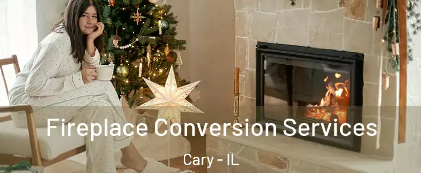  Fireplace Conversion Services Cary - IL