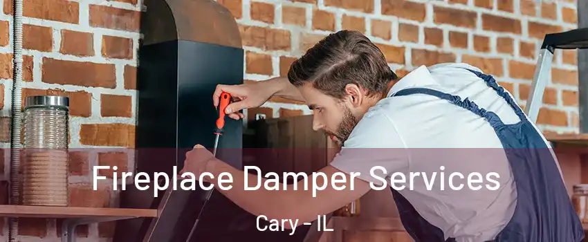  Fireplace Damper Services Cary - IL