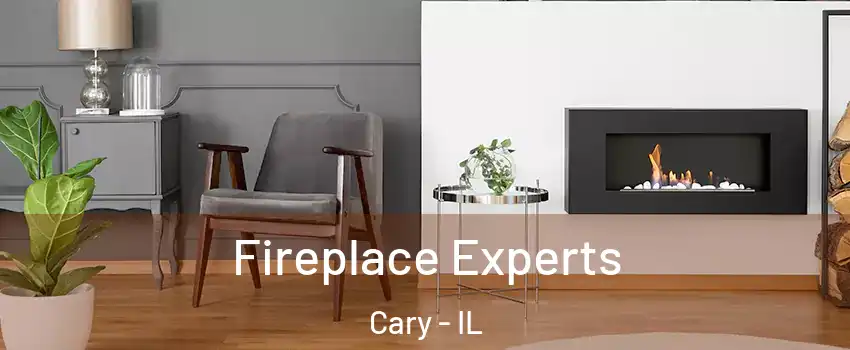  Fireplace Experts Cary - IL