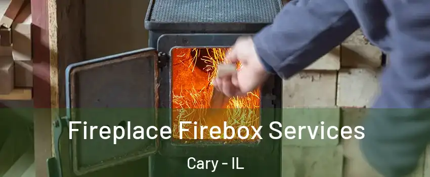  Fireplace Firebox Services Cary - IL
