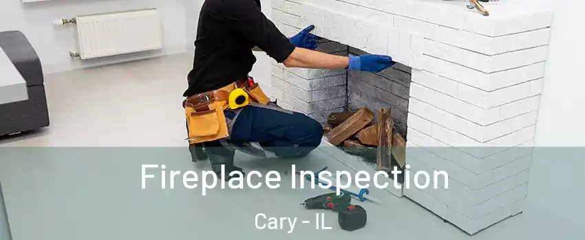  Fireplace Inspection Cary - IL
