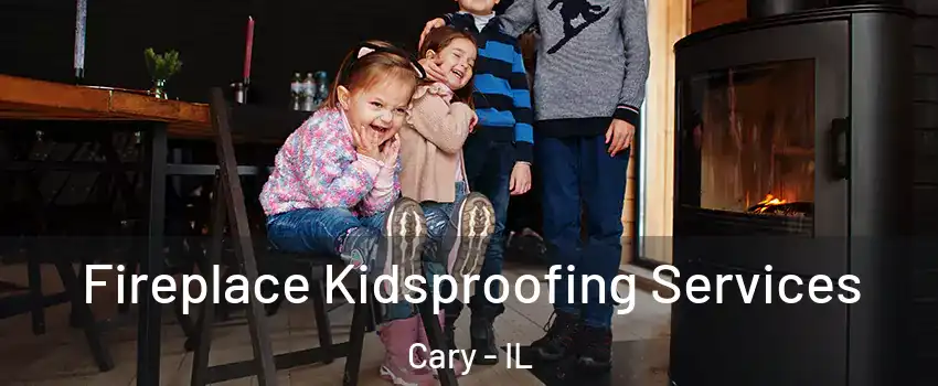  Fireplace Kidsproofing Services Cary - IL