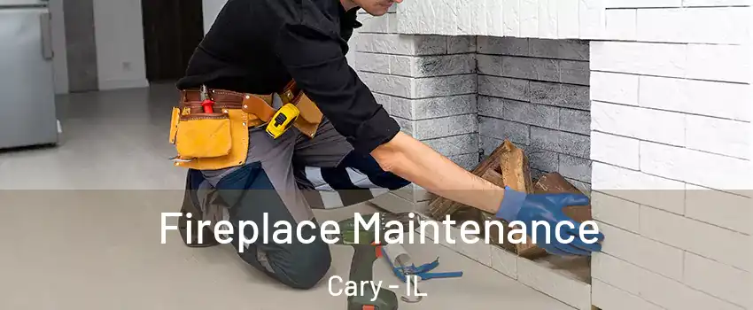  Fireplace Maintenance Cary - IL