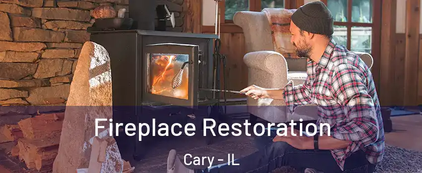  Fireplace Restoration Cary - IL