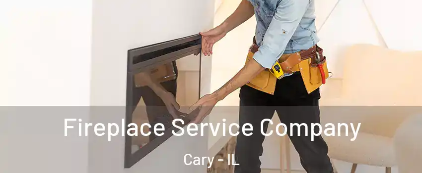  Fireplace Service Company Cary - IL