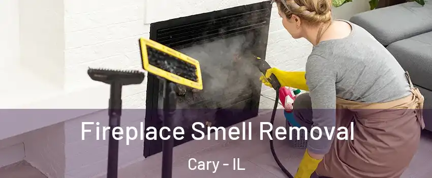  Fireplace Smell Removal Cary - IL