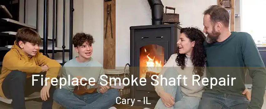  Fireplace Smoke Shaft Repair Cary - IL
