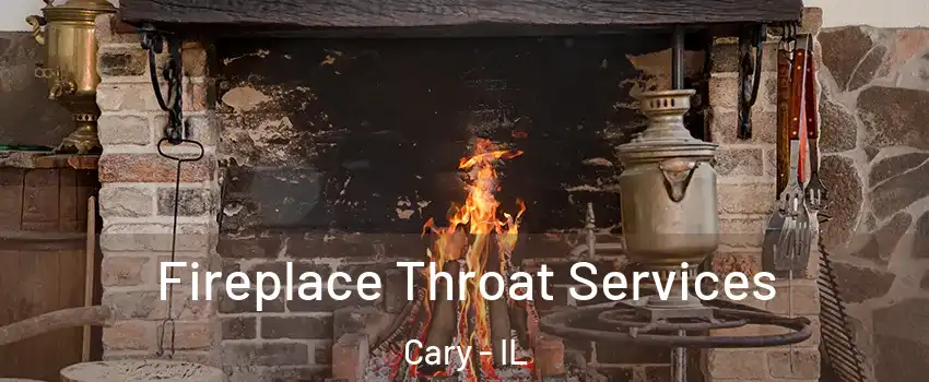  Fireplace Throat Services Cary - IL
