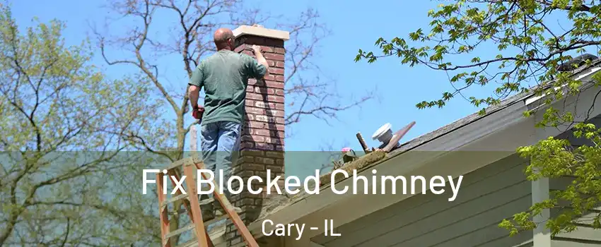  Fix Blocked Chimney Cary - IL