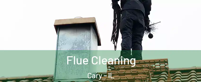  Flue Cleaning Cary - IL