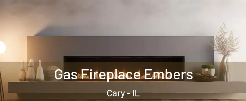  Gas Fireplace Embers Cary - IL