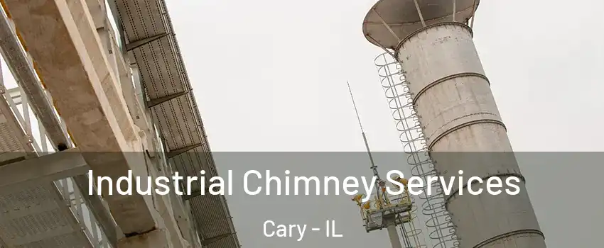  Industrial Chimney Services Cary - IL
