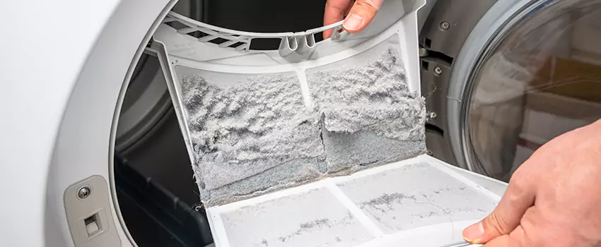 Best Dryer Lint Removal Company in Cary, Illinois
