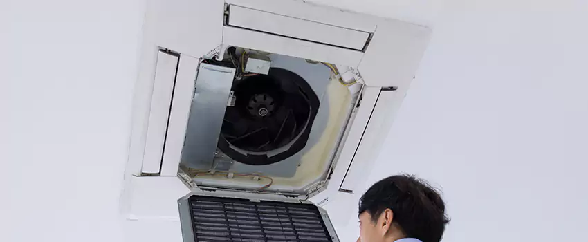 Benefits of Professional Air Duct Cleaning in Cary, Illinois