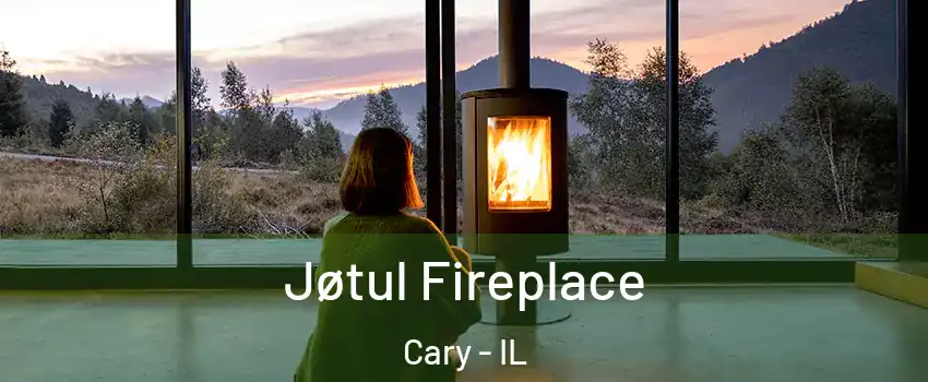  Jøtul Fireplace Cary - IL