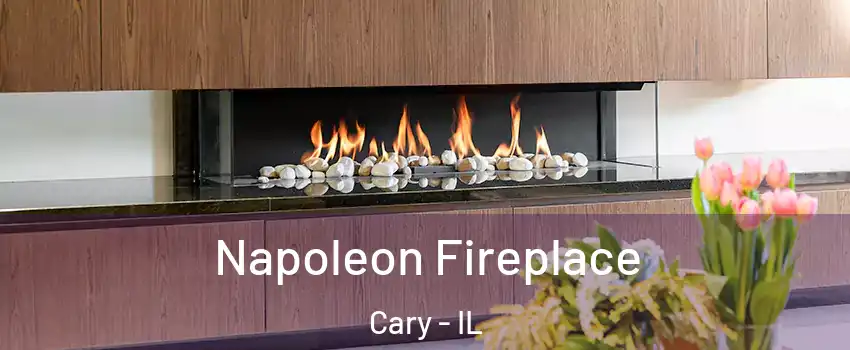  Napoleon Fireplace Cary - IL