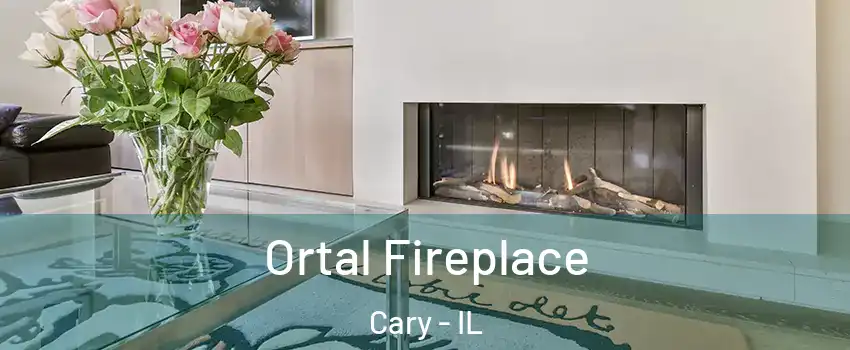  Ortal Fireplace Cary - IL