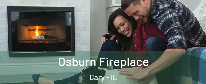  Osburn Fireplace Cary - IL
