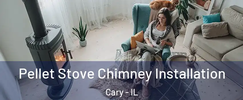  Pellet Stove Chimney Installation Cary - IL