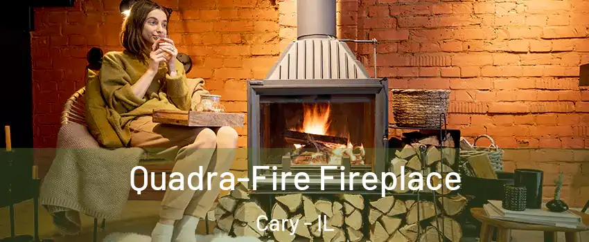  Quadra-Fire Fireplace Cary - IL